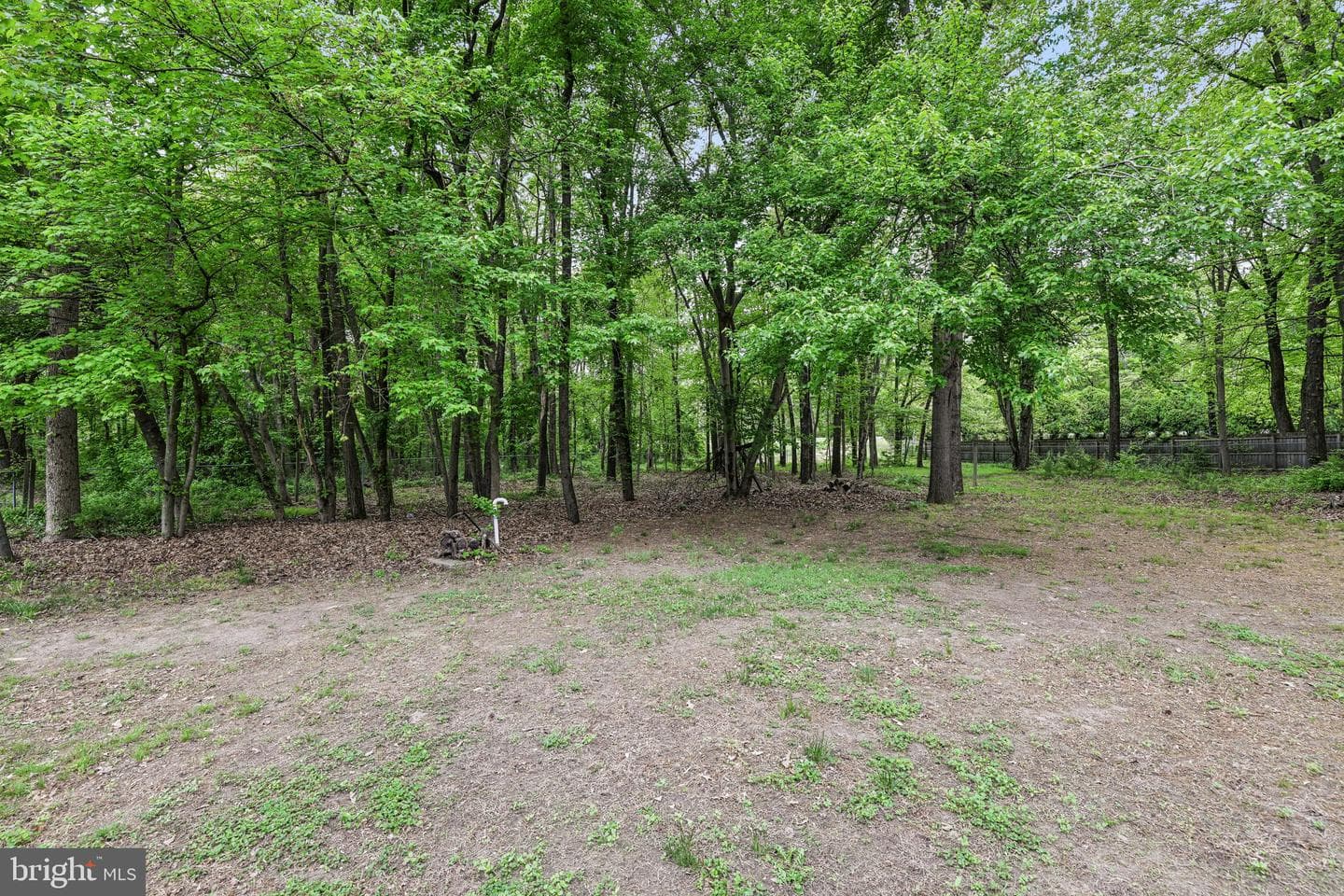 592 Eason Drive photo 59