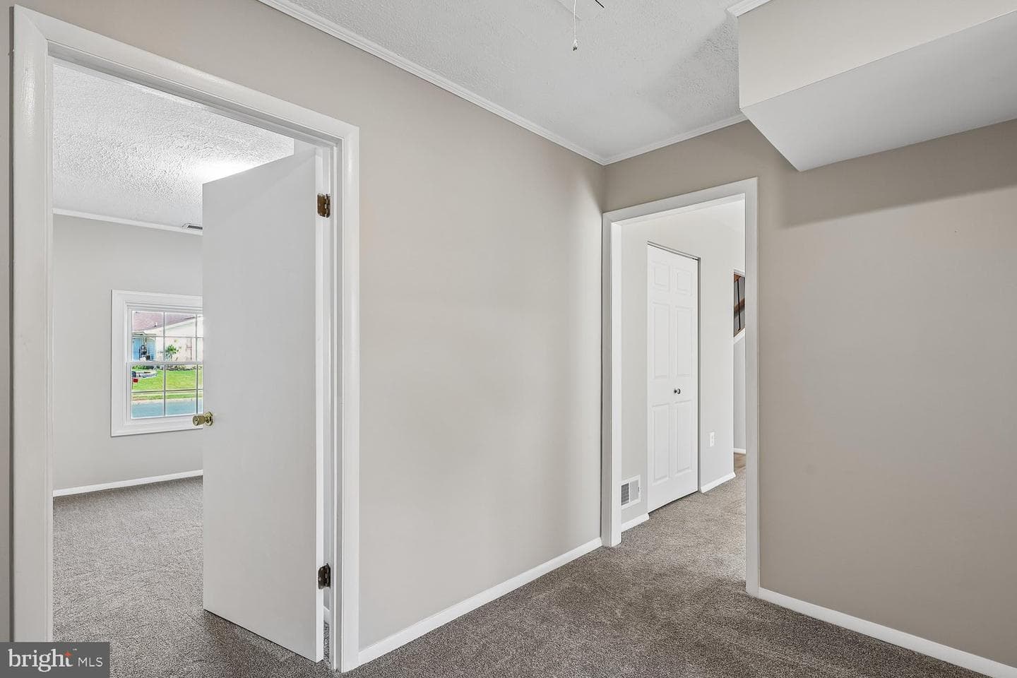 2423 Flowering Tree Lane photo 39