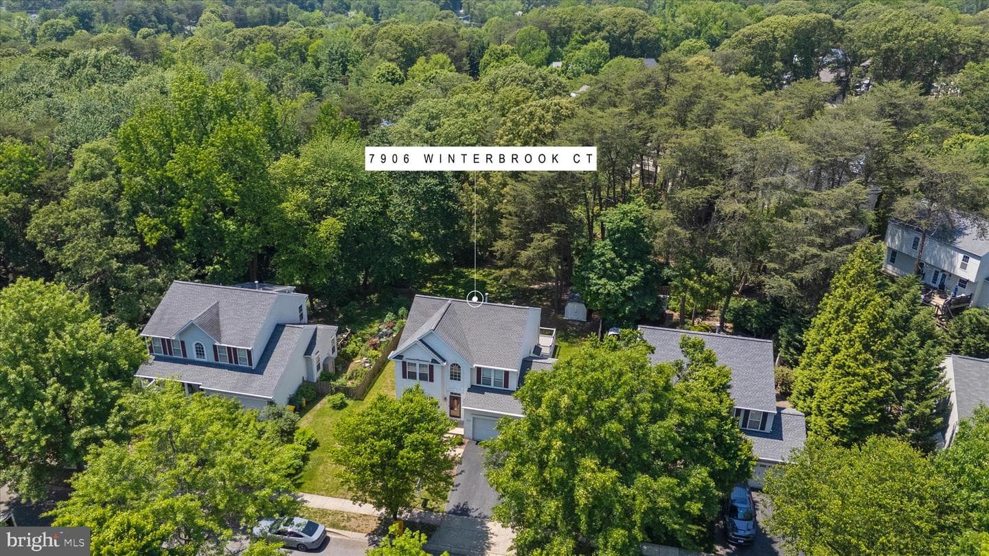 7906 Winterbrook Court photo 54