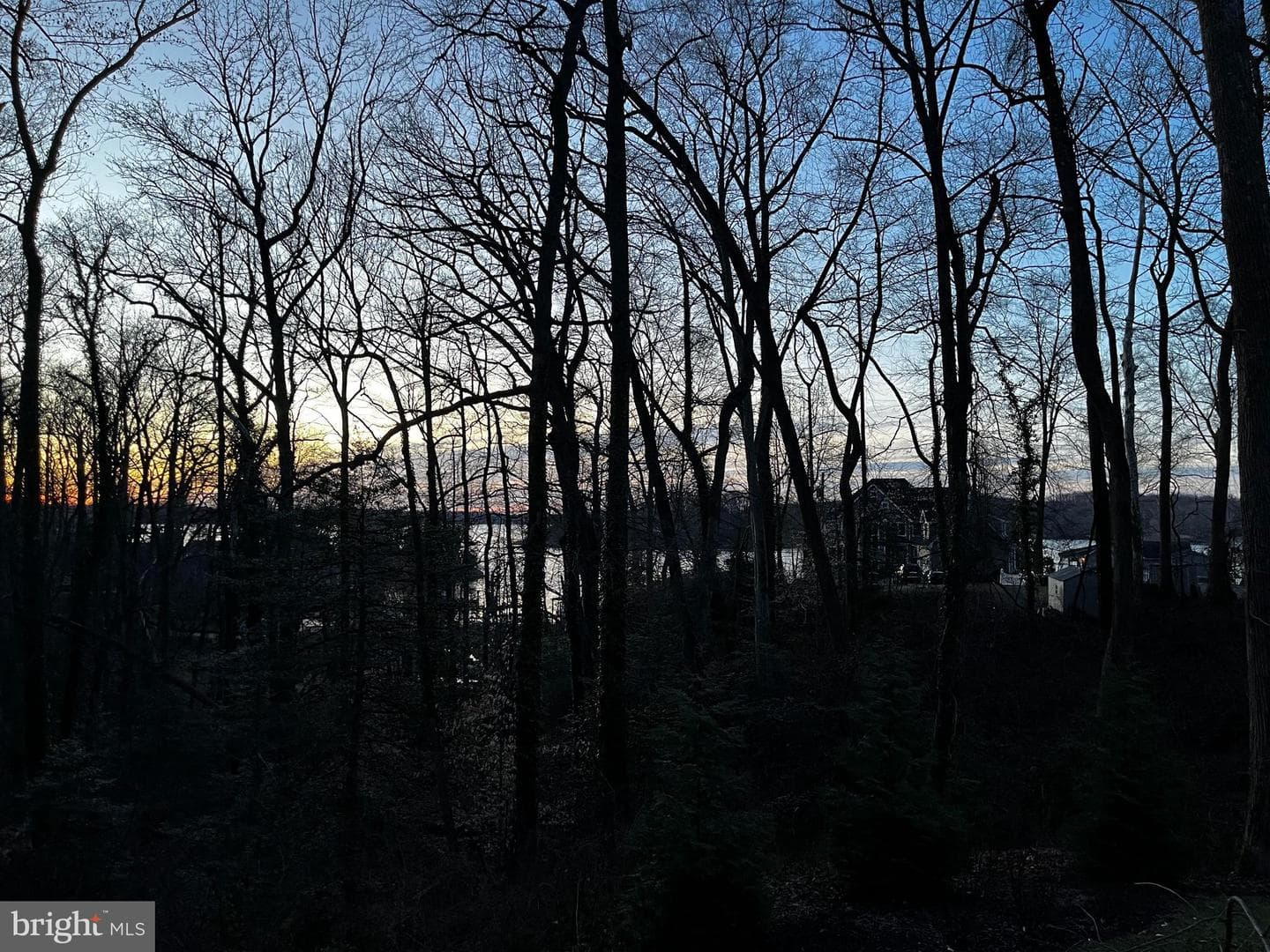 949 Buttonwood Trail photo 42