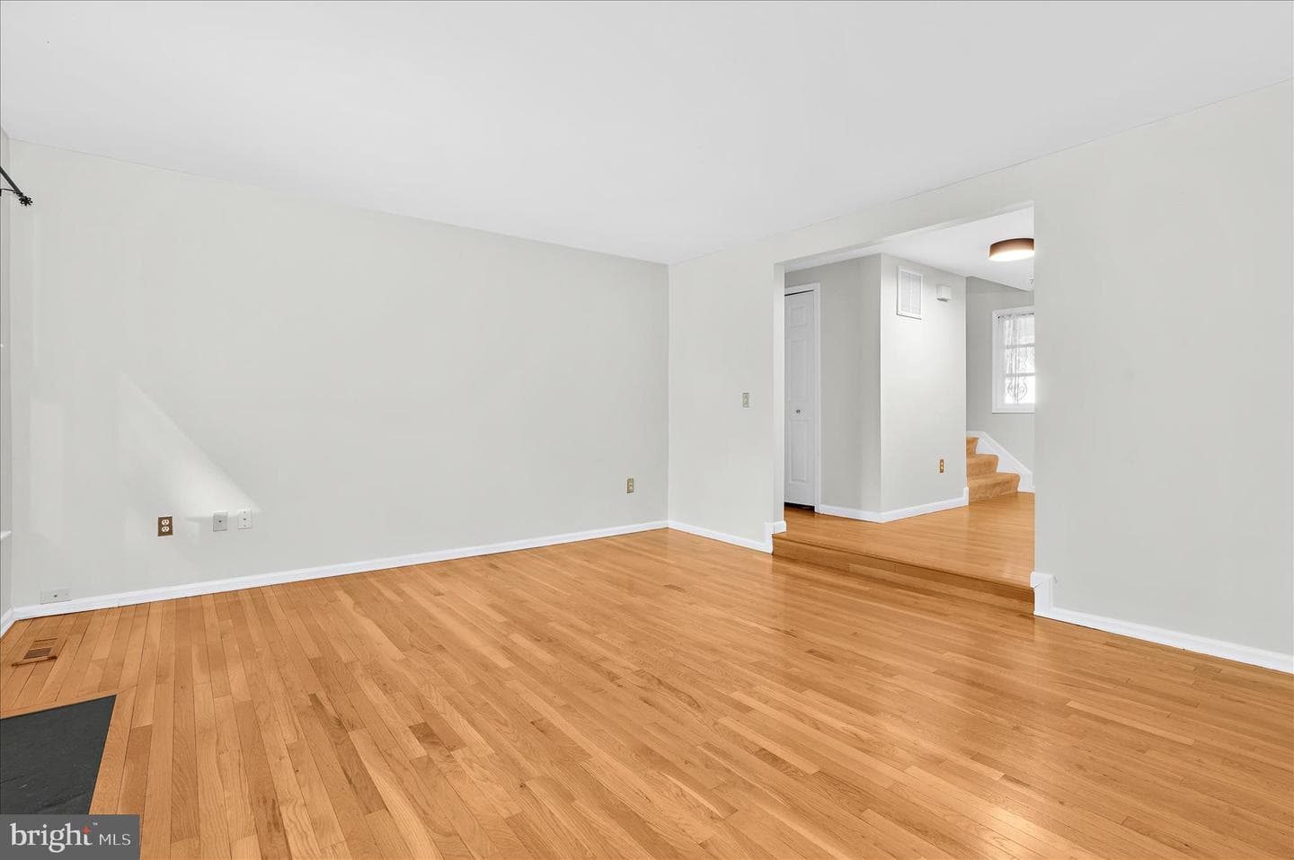1005 Hawk Channel Court photo 11