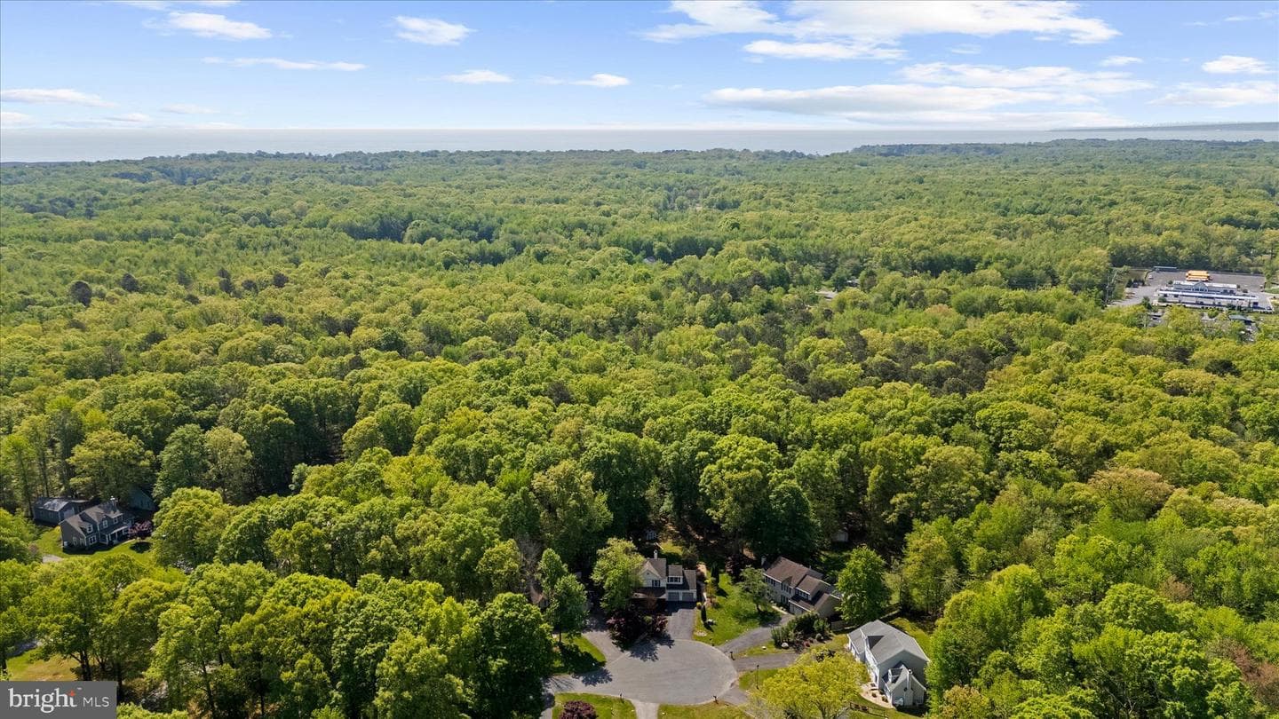 1005 Hawk Channel Court photo 60