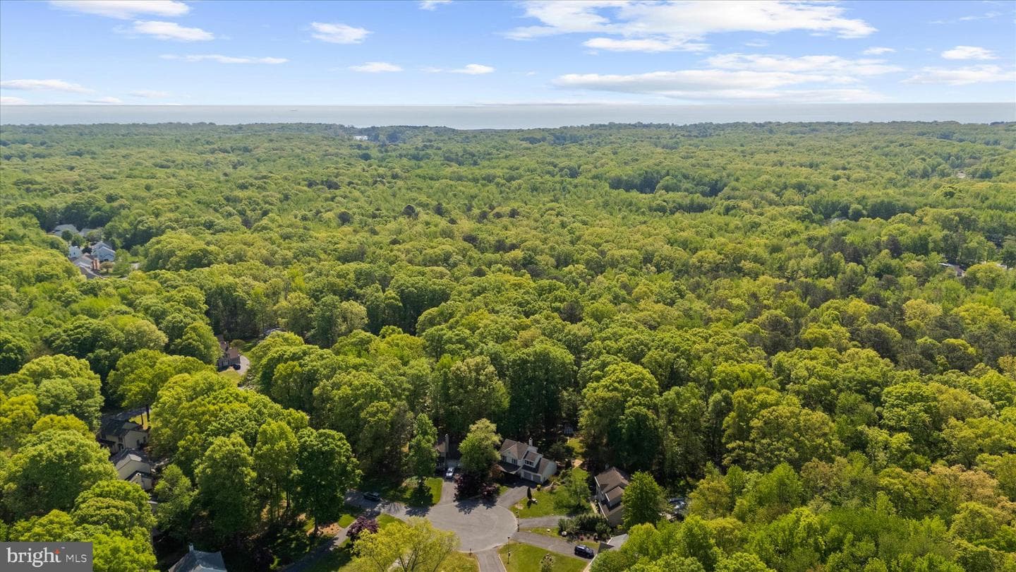 1005 Hawk Channel Court photo 61