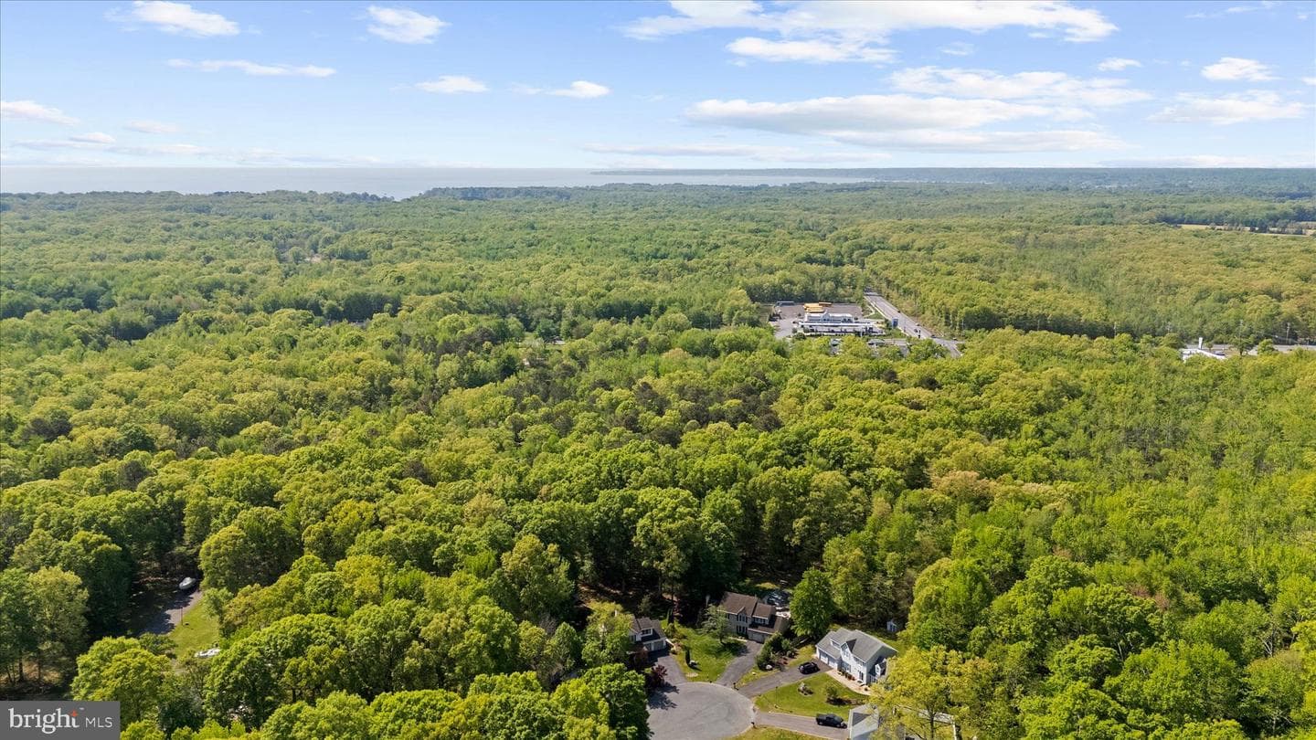 1005 Hawk Channel Court photo 62