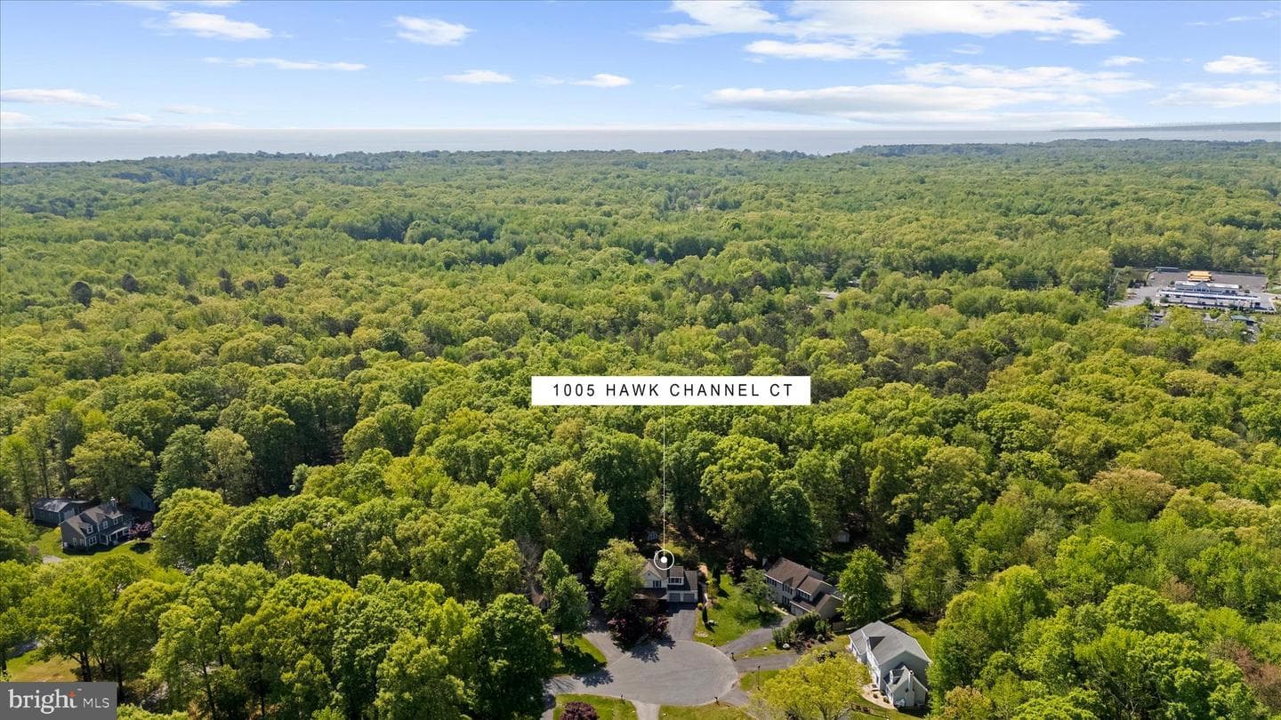 1005 Hawk Channel Court photo 67