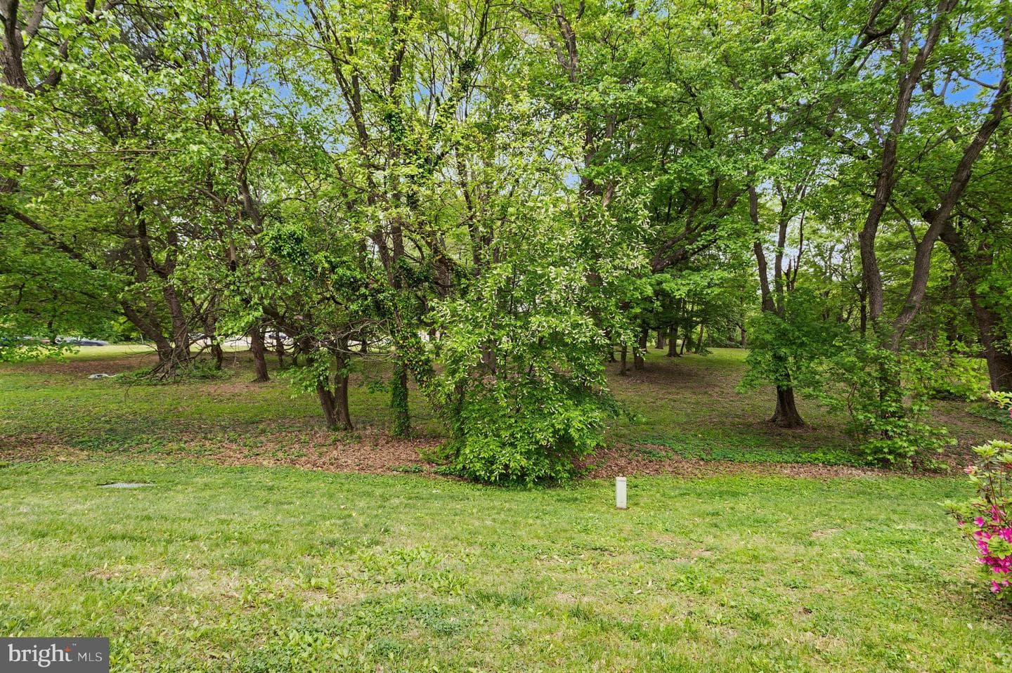 133 Merryman Court #17 photo 27