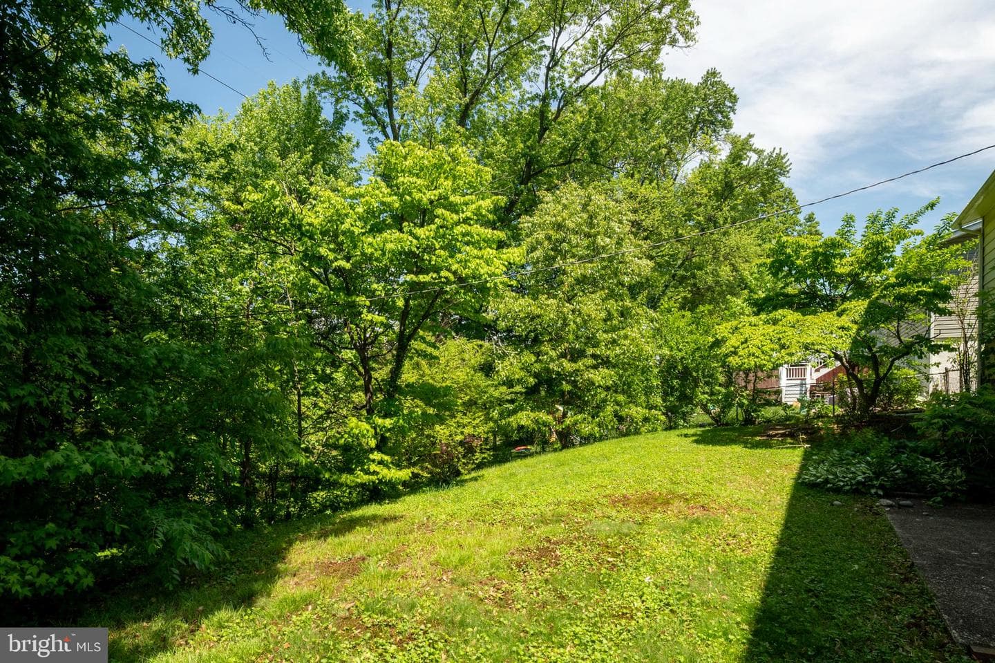 536 Williamsburg Lane photo 40