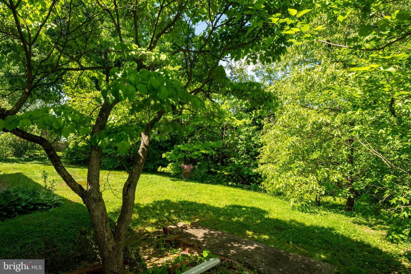 536 Williamsburg Lane photo 41