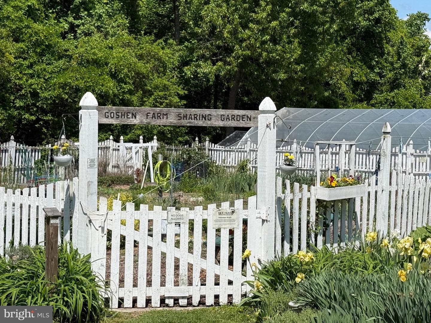 404 Peach Court photo 25
