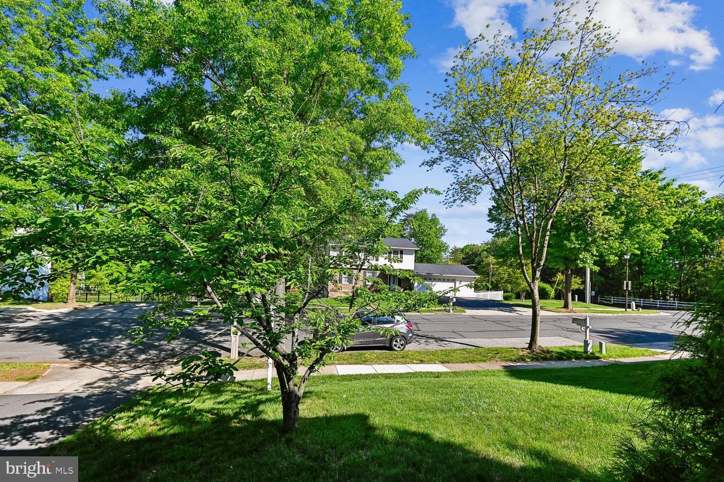 307 Council Oak Dr photo 6