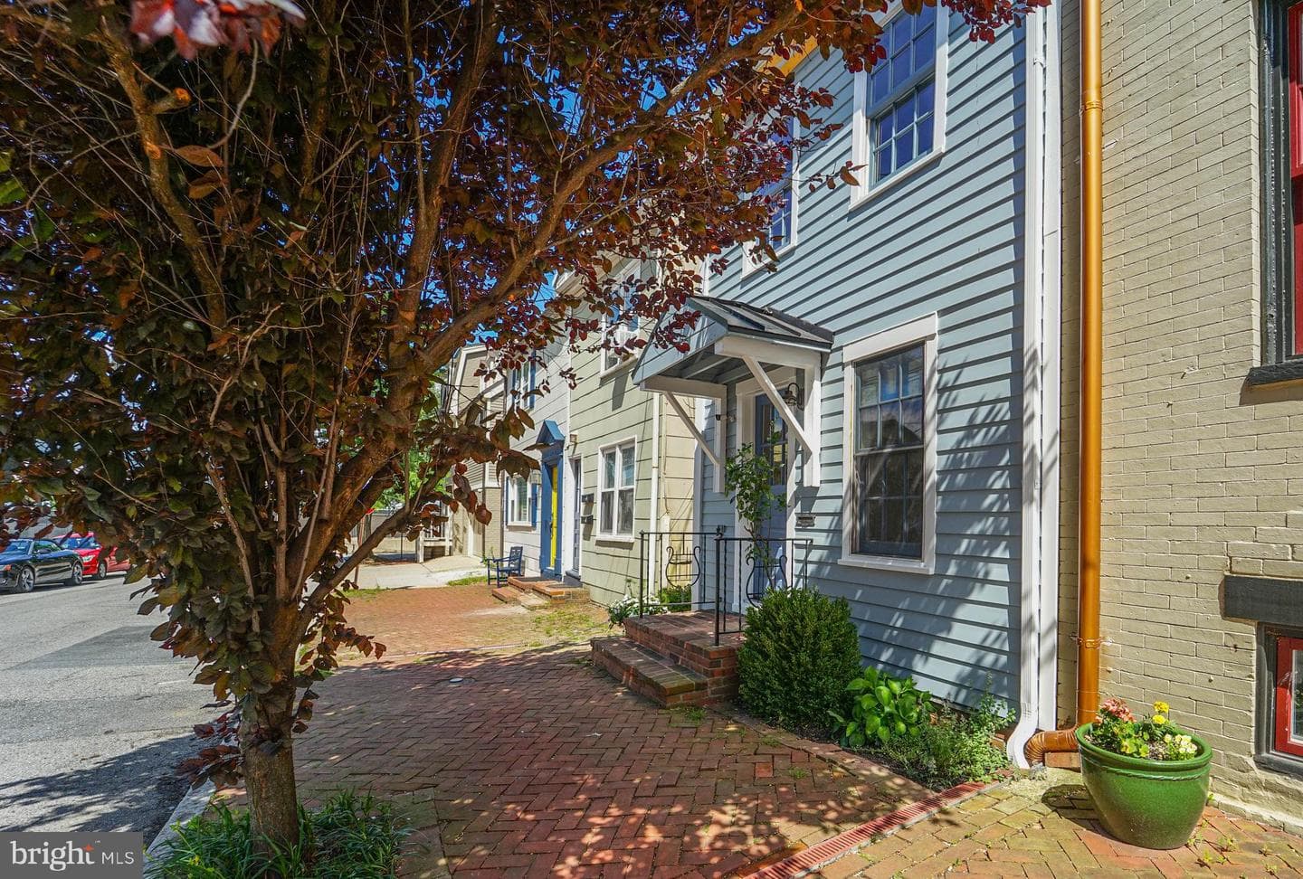 9 College Avenue photo 54
