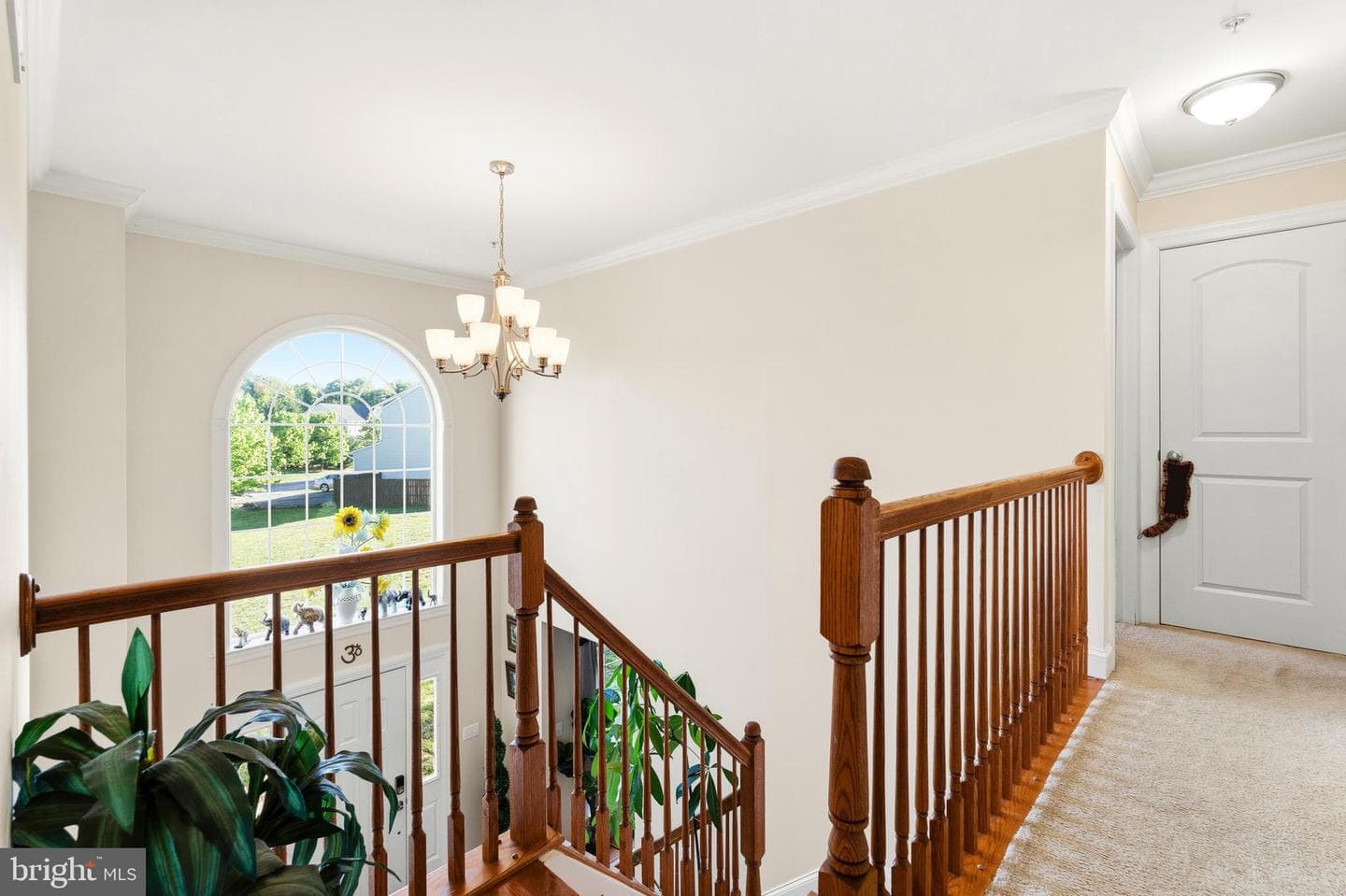 208 Long Hill Court #4 photo 23