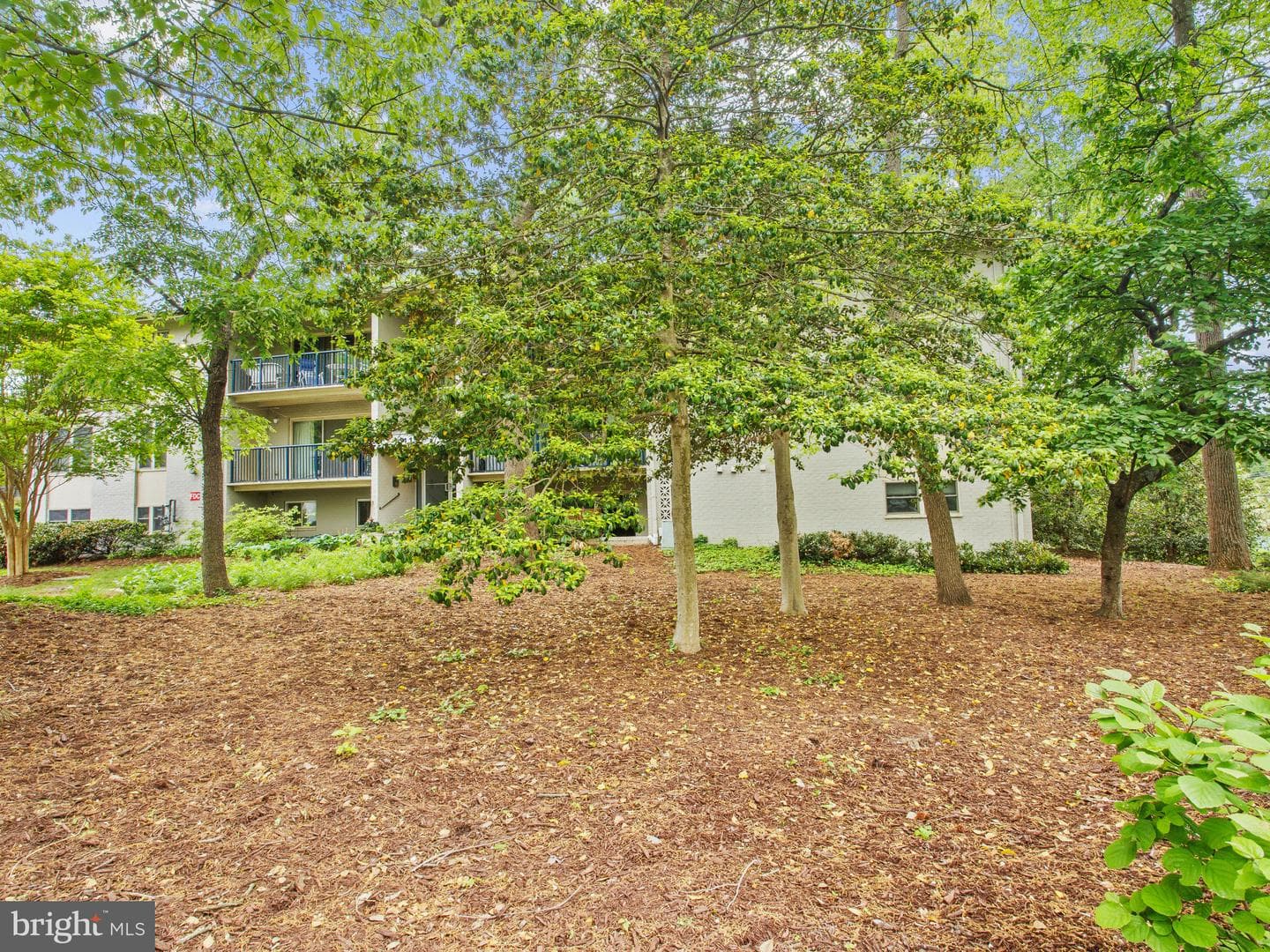 1117 Primrose Court #301 photo 4