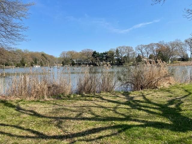 1196 Green Holly Drive photo 54
