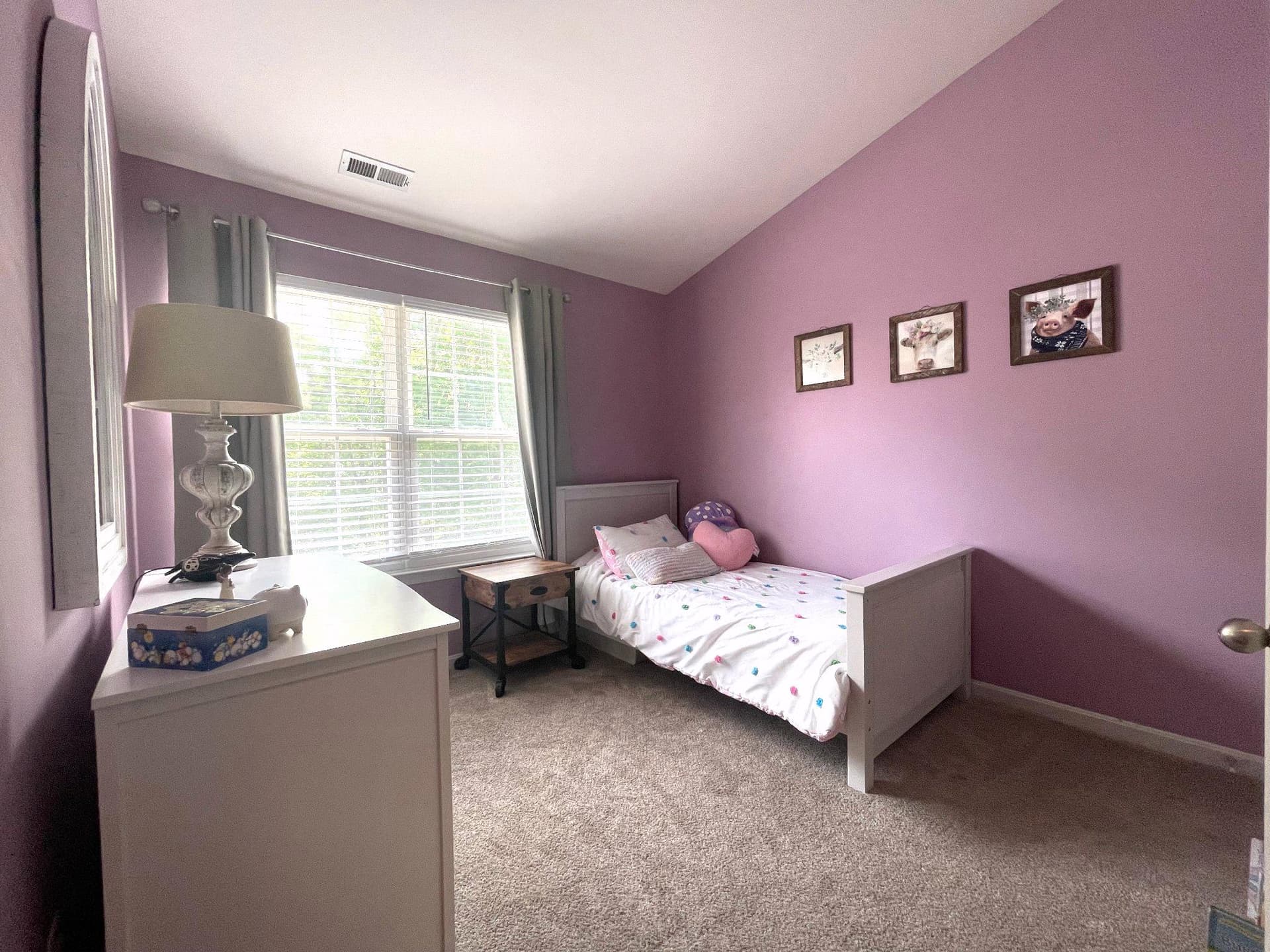 626 Trout Run Court photo 12