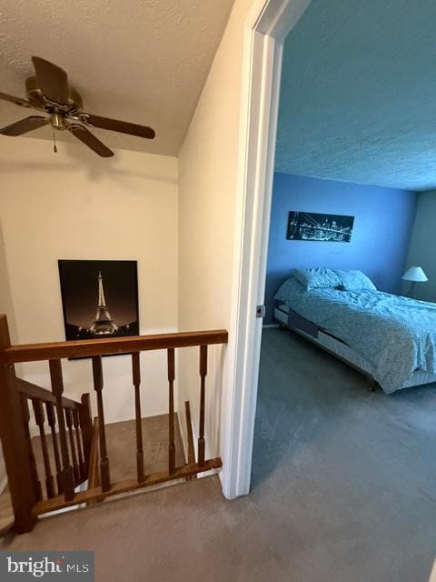 7508 Whaler Court photo 28
