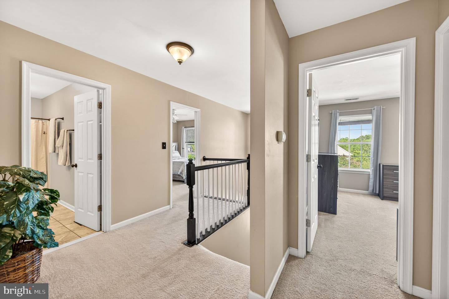 452 Larkspur Lane photo 38