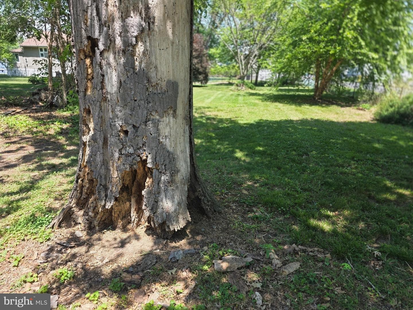 145 Edgewater Drive photo 59