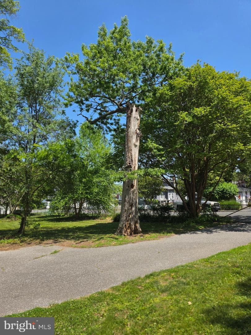 145 Edgewater Drive photo 71