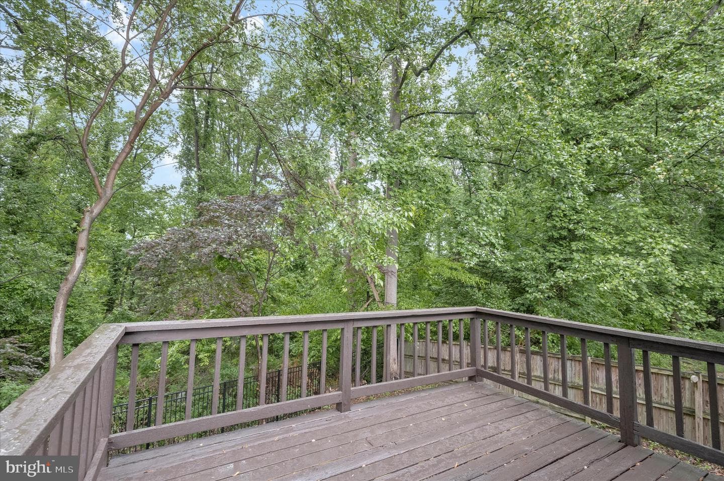64 Wohl Court photo 11