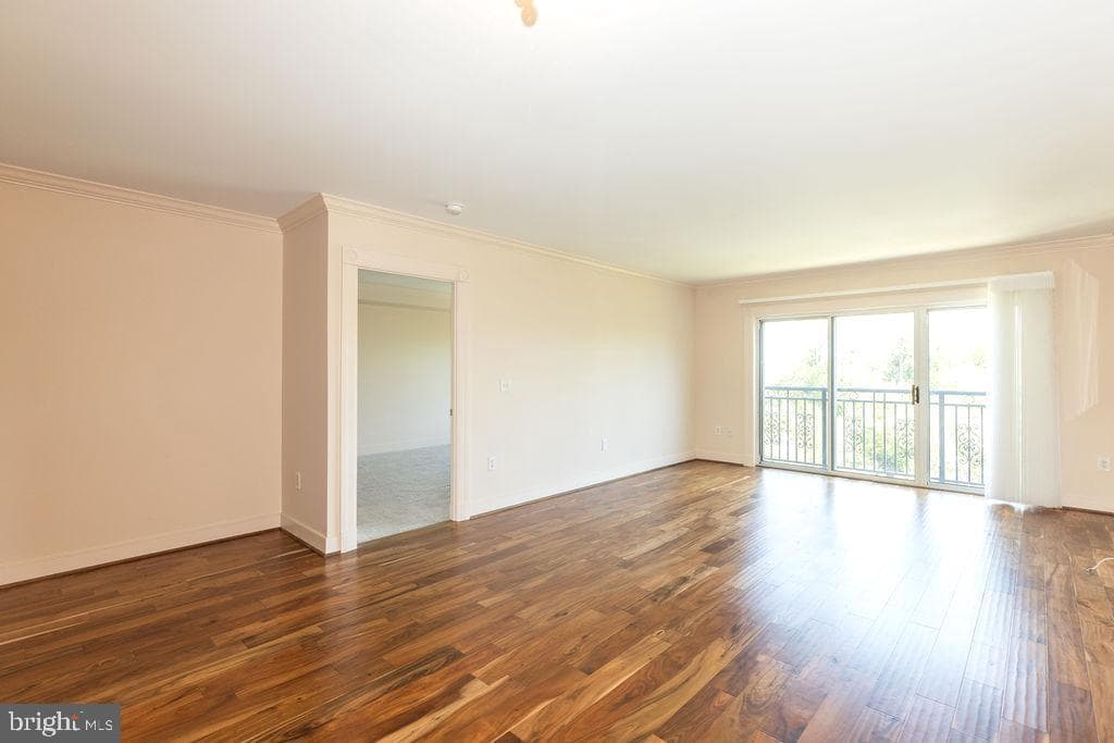 5 Park Place #527 photo 5
