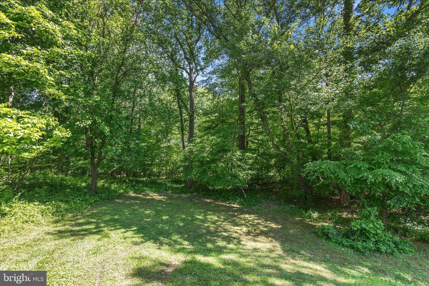2056 Gate Drive photo 29