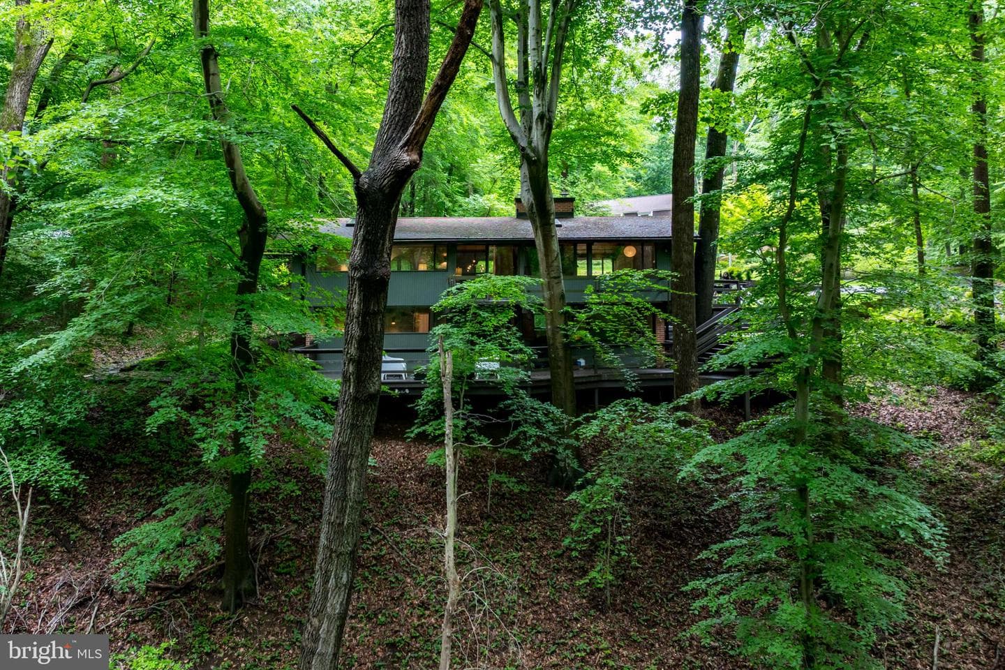 1689 Alice Court photo 42