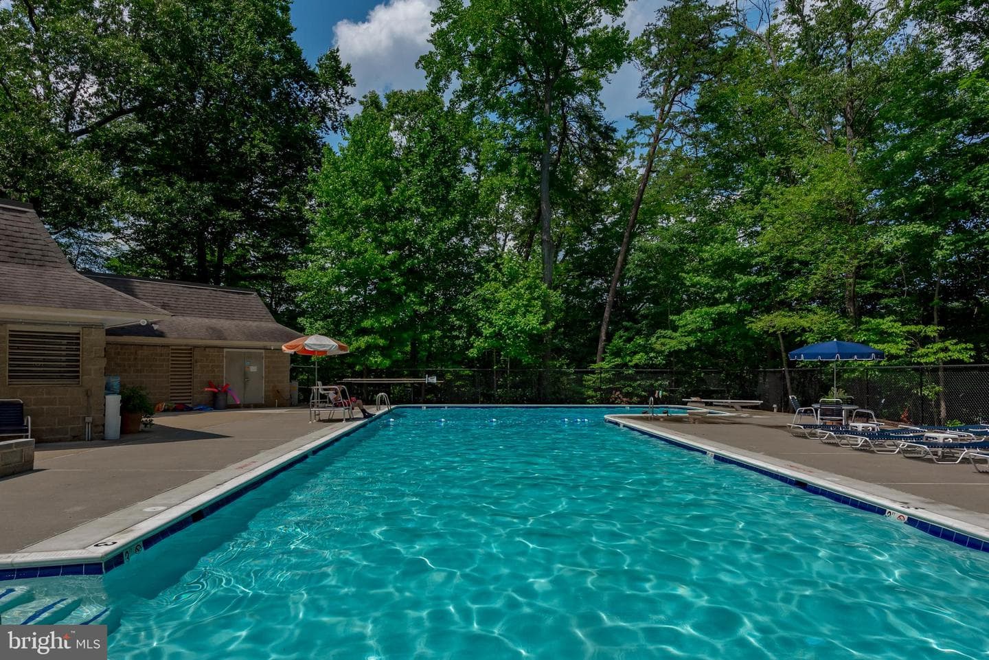 1689 Alice Court photo 47
