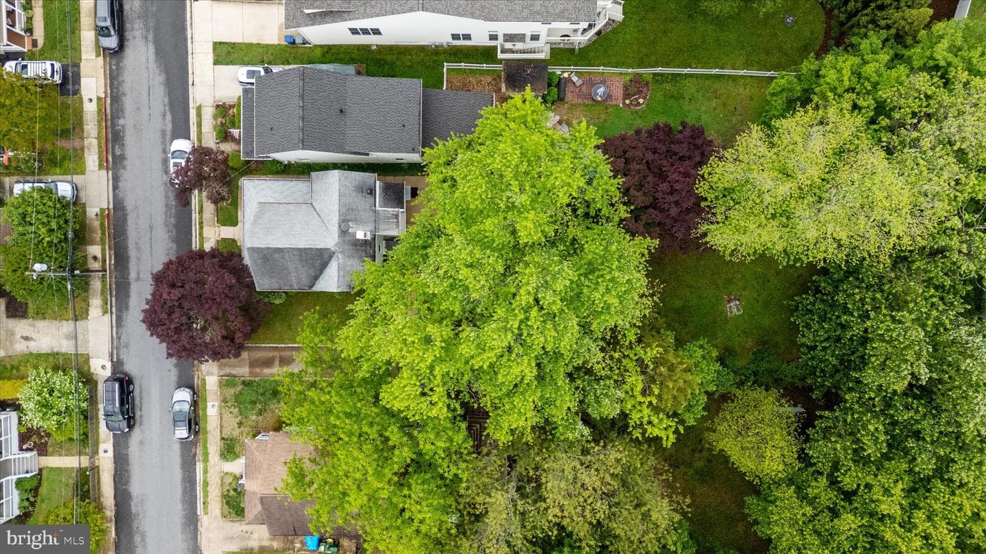 21 Woodlawn Avenue photo 16