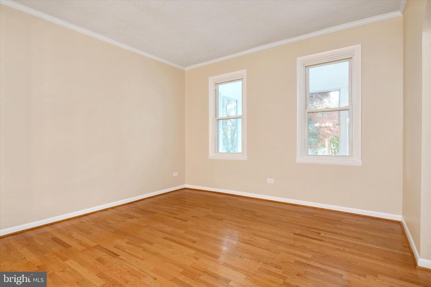 21 Woodlawn Avenue photo 20