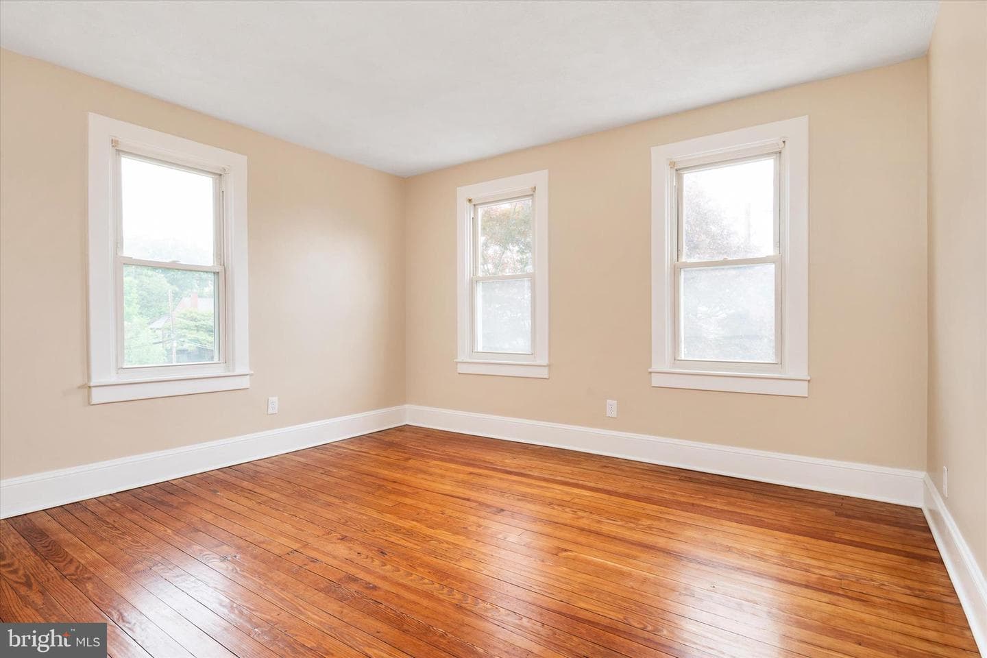 21 Woodlawn Avenue photo 37