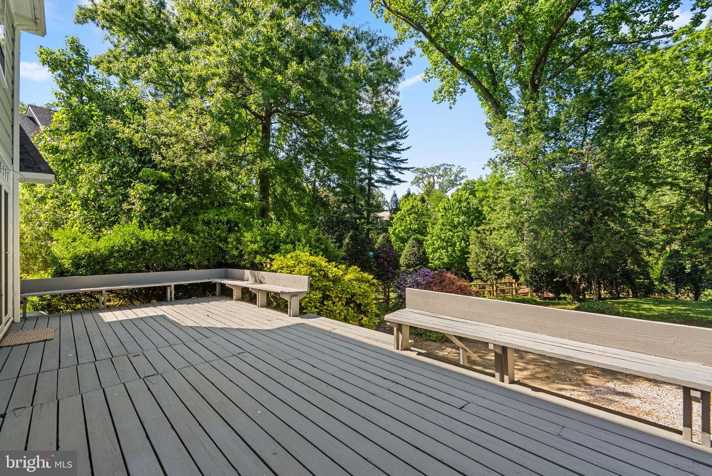 202 Wardour Drive photo 45