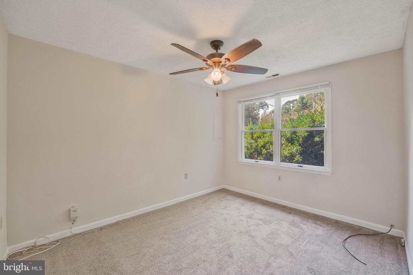 650 Teton Drive photo 13