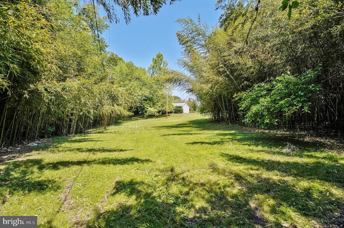 650 Teton Drive photo 41