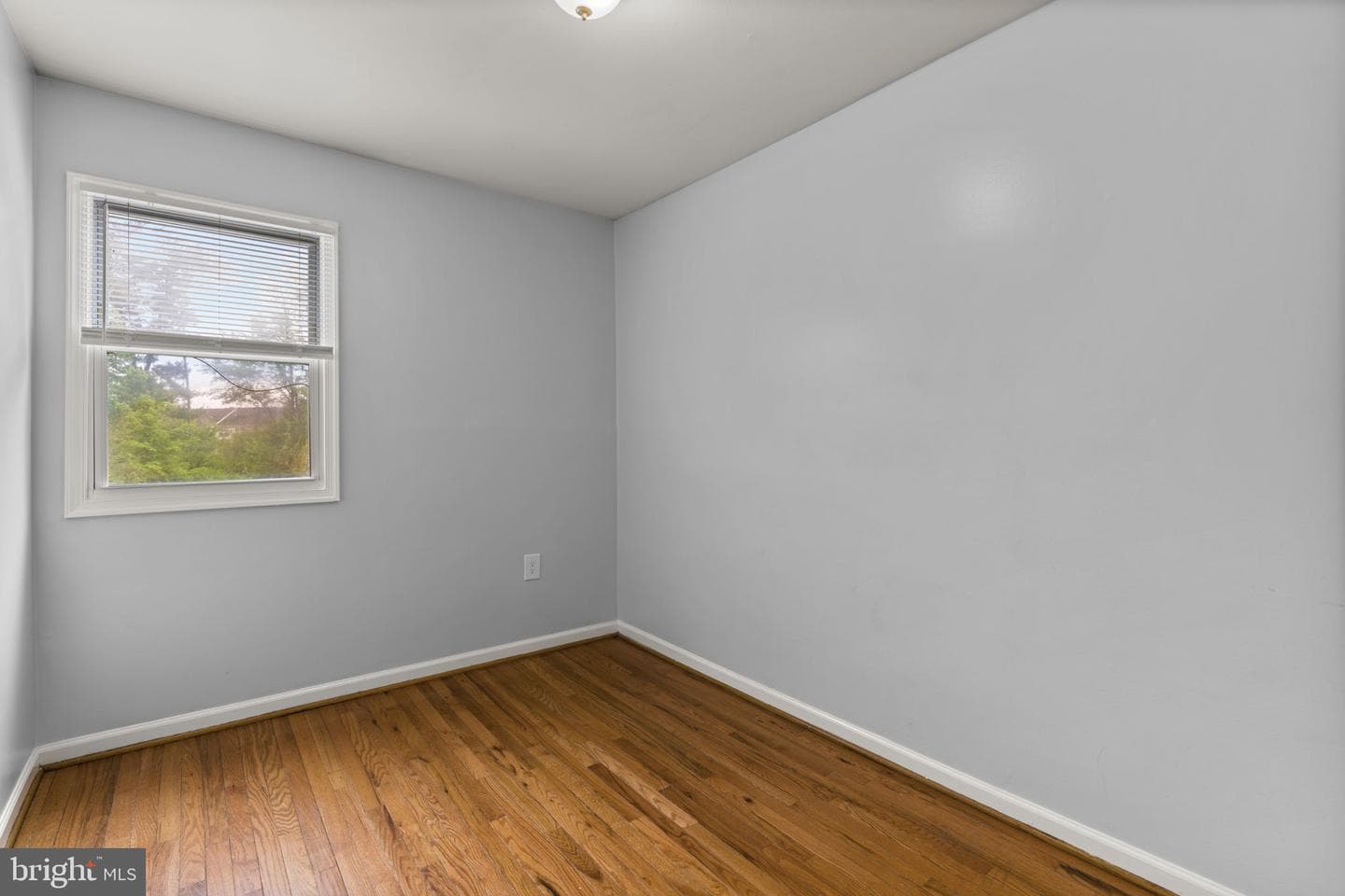 8247 Parham Court photo 18
