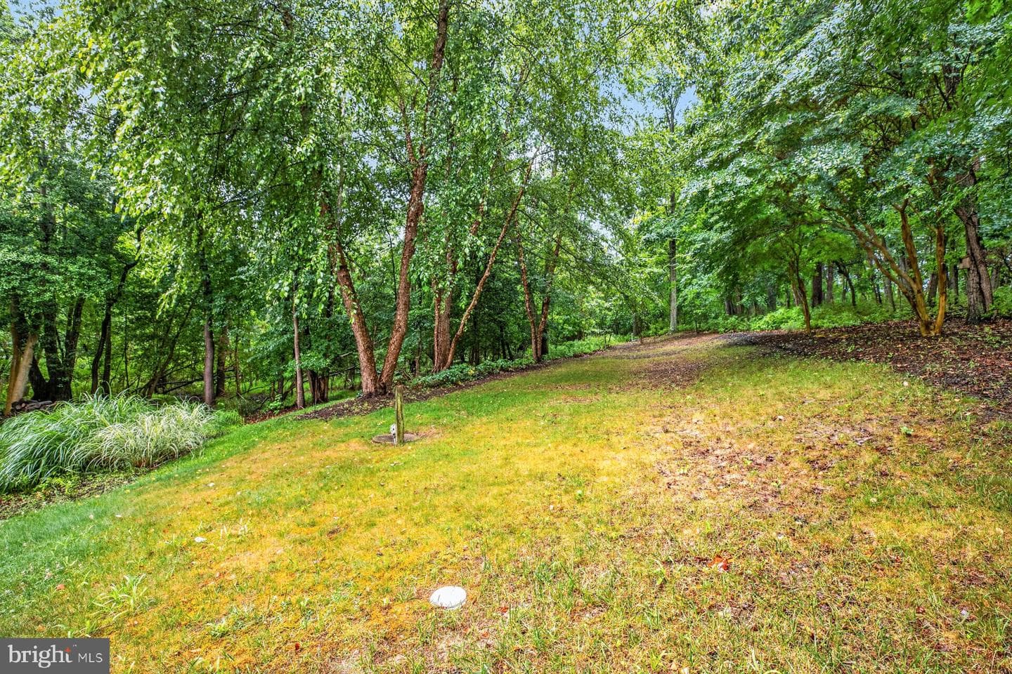 184 Hickory Point Rd photo 50