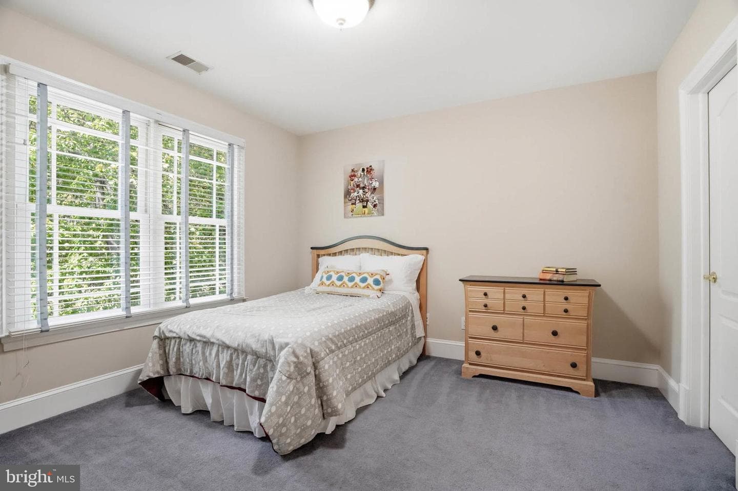 982 Stonington Drive photo 45