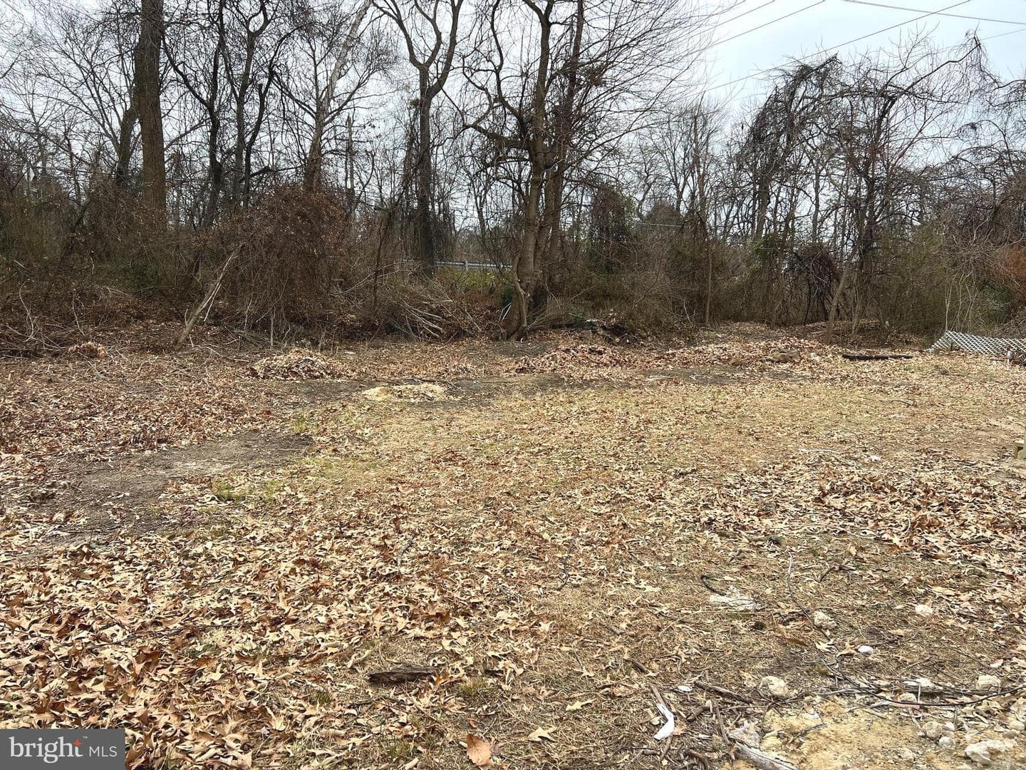 7967 Foster Avenue photo 10