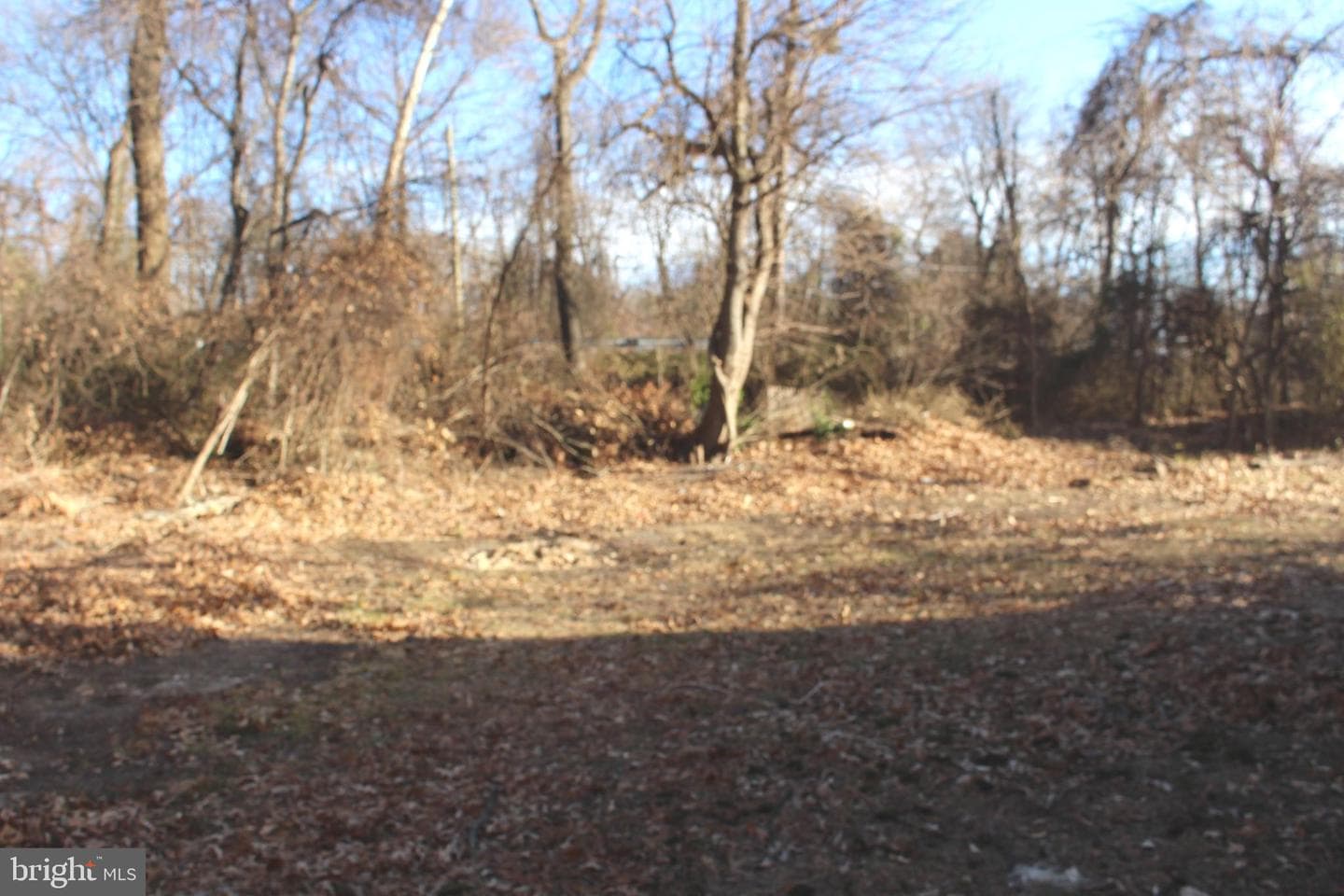 7967 Foster Avenue photo 9