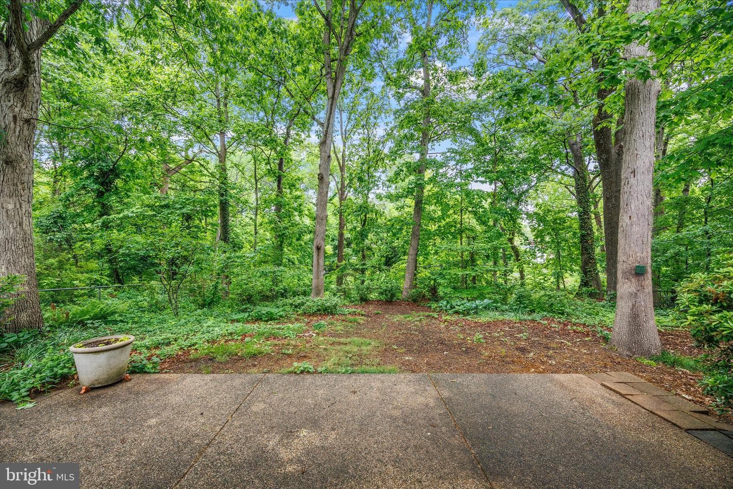 1402 Catlyn Place photo 42