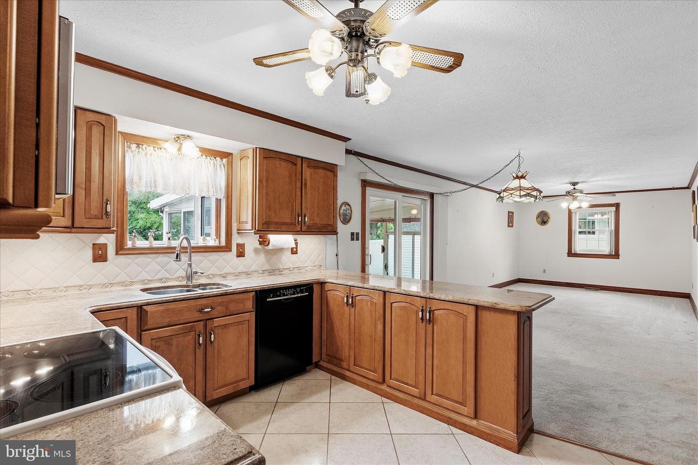 442 Williamstowne Ct photo 4