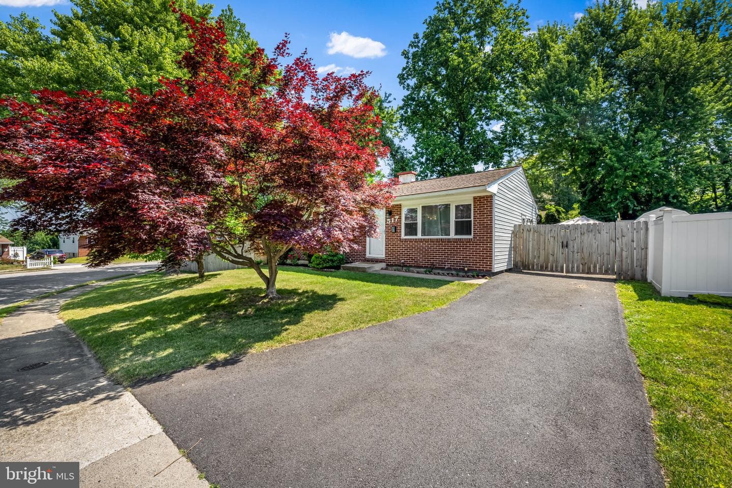 517 Fountain Drive photo 3