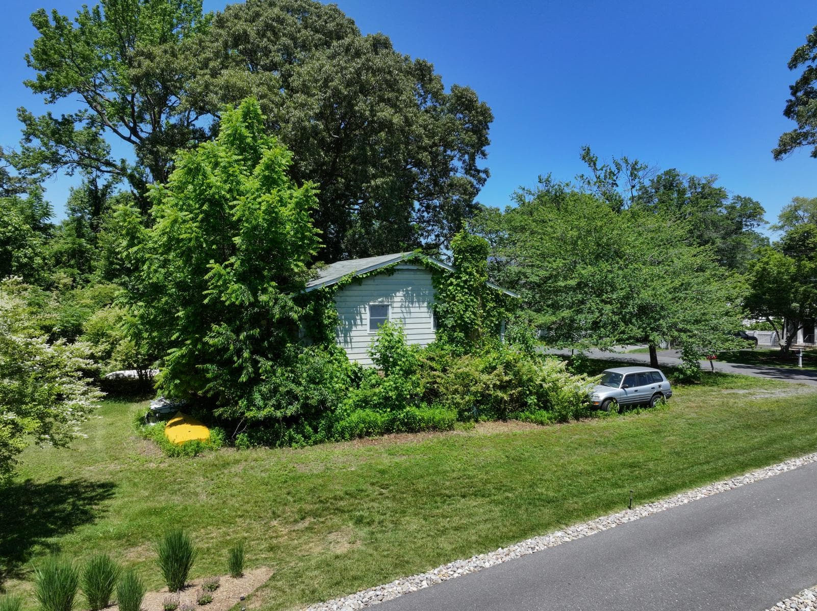 54 Decatur Avenue photo 5