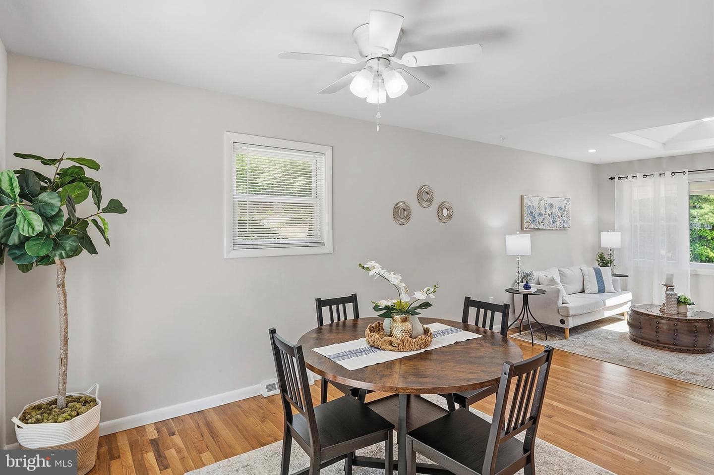1575 Alcova Drive photo 4