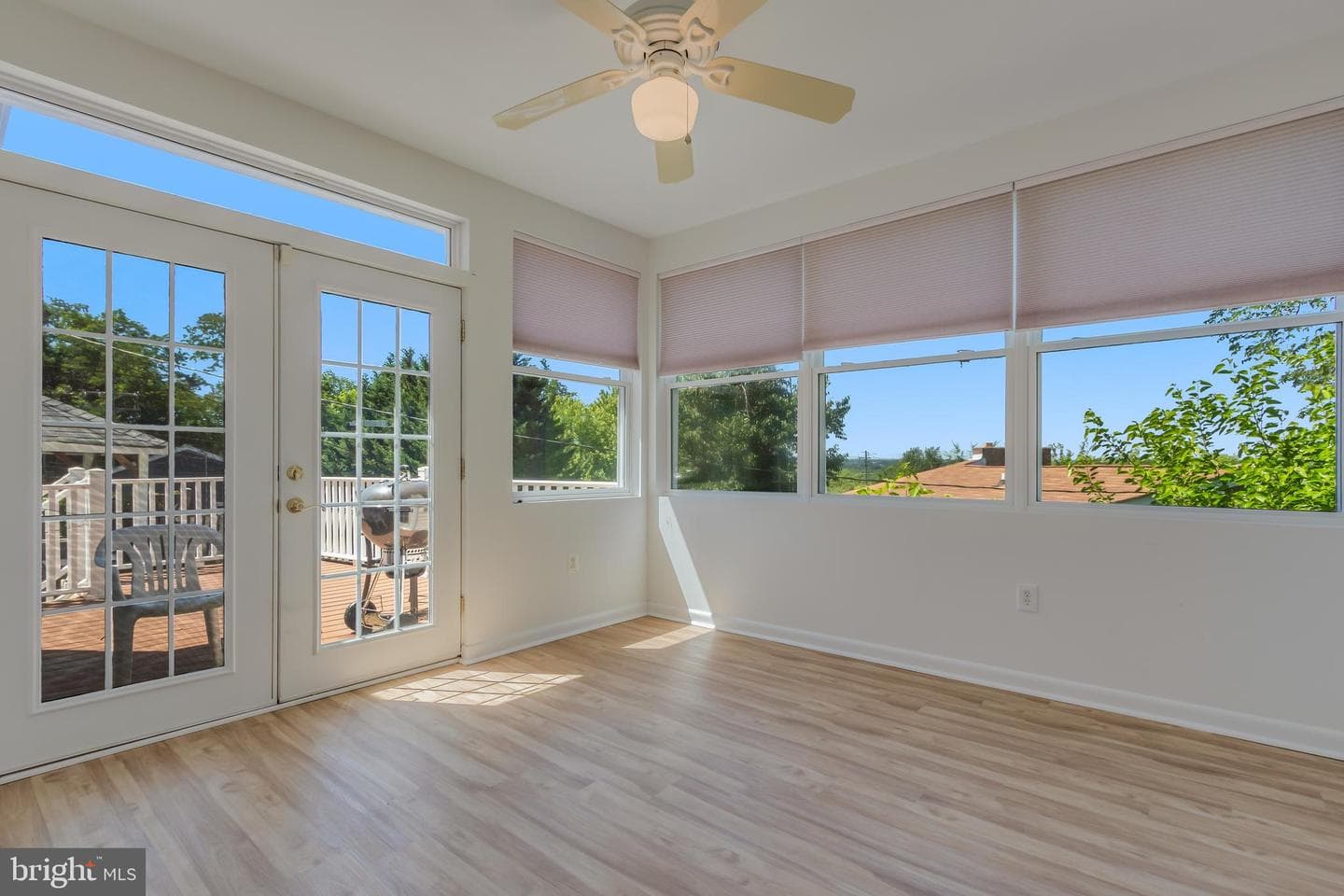 219 Coronet Drive photo 10