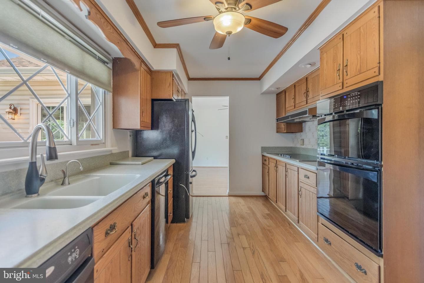 219 Coronet Drive photo 8