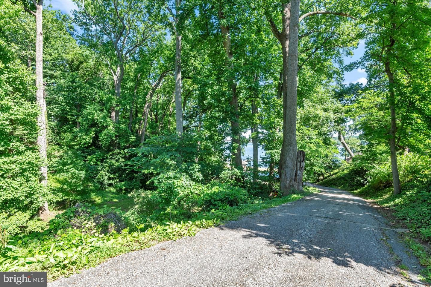 2997 Dogwood Trl photo 59