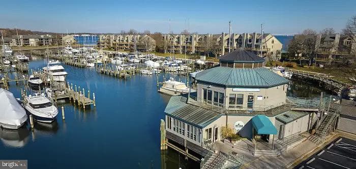 7036 Harbour Village Court #t1 photo 41