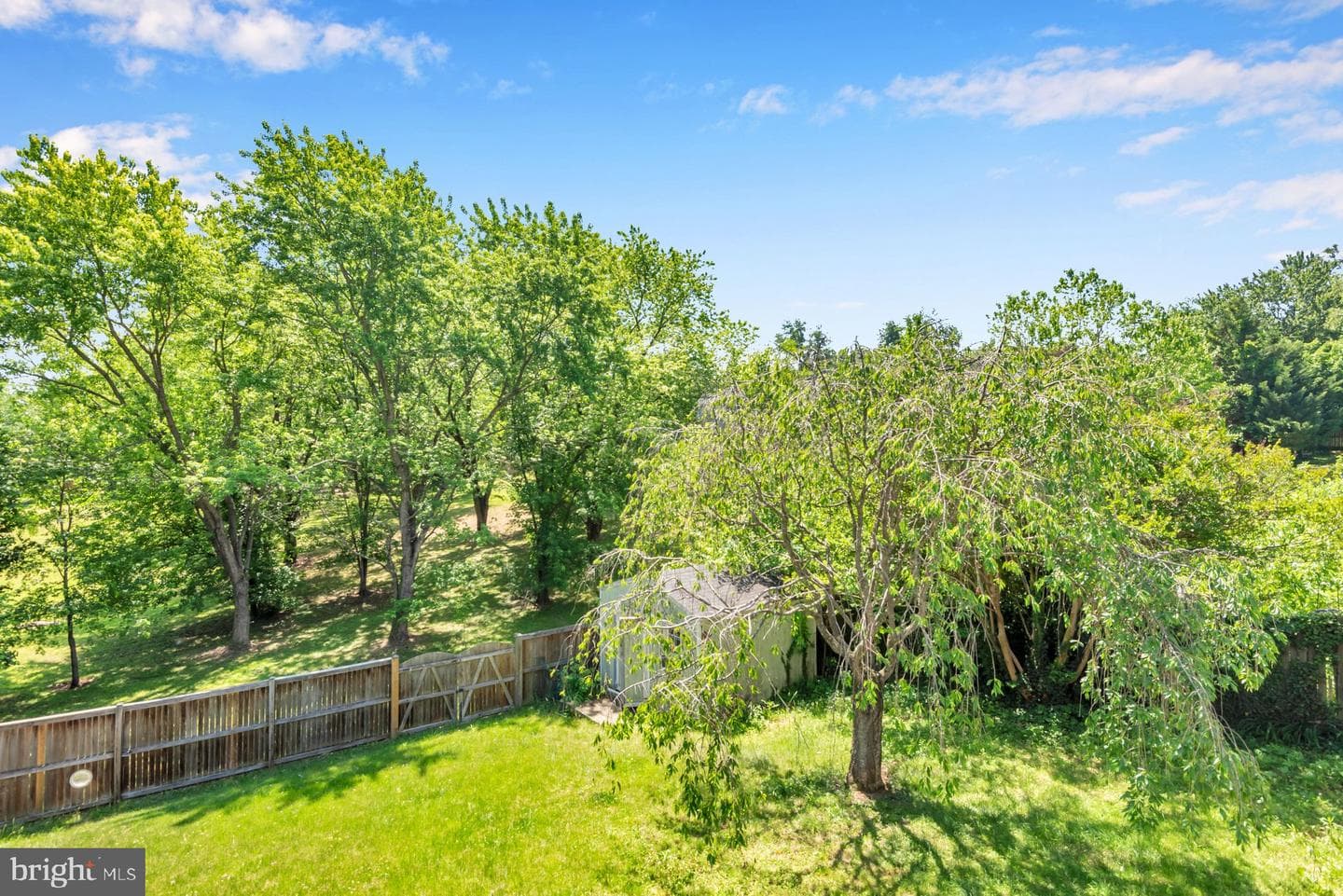 323 Ternwing Drive photo 26
