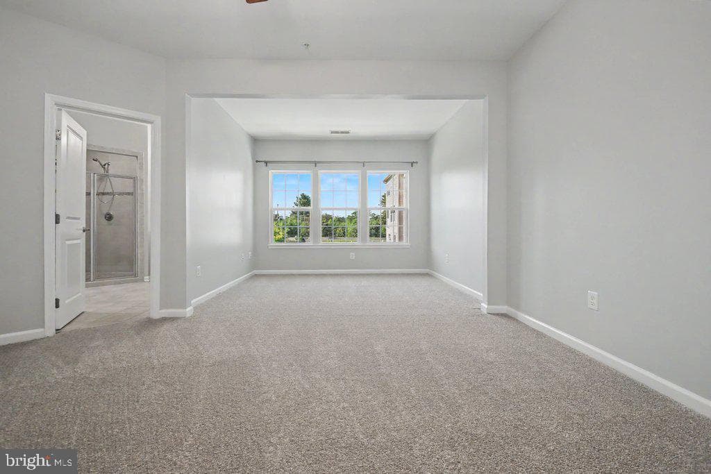 1425 Hale Street photo 32
